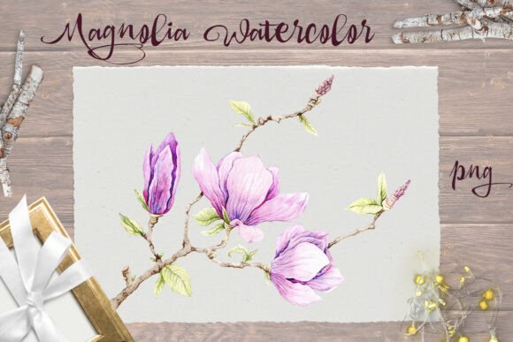 Download Delicate Magnolia Print Png - Print Collection